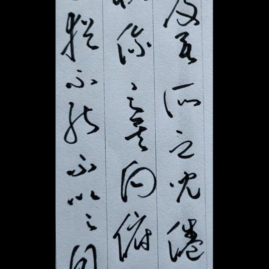 松风桦品