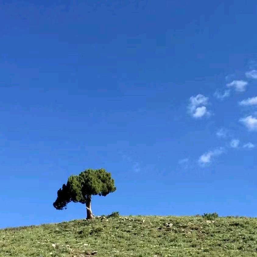 张小波