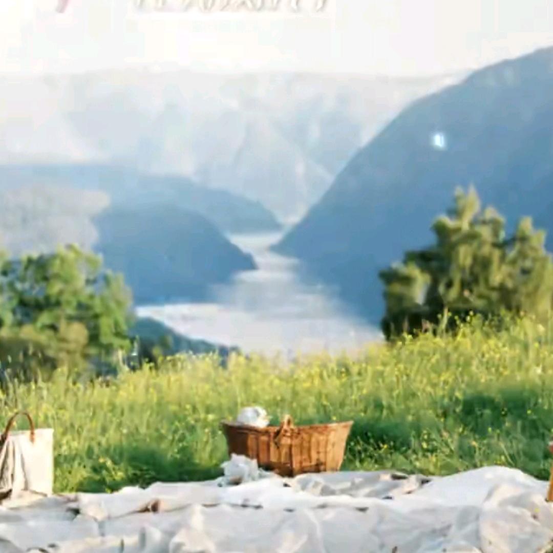 🥀无心风月💘独钟自己💞