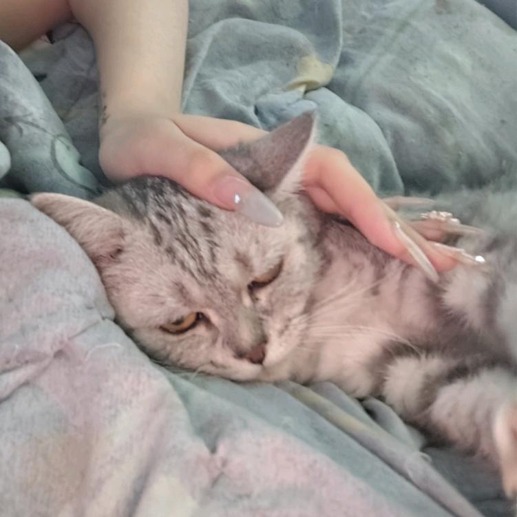小七啊