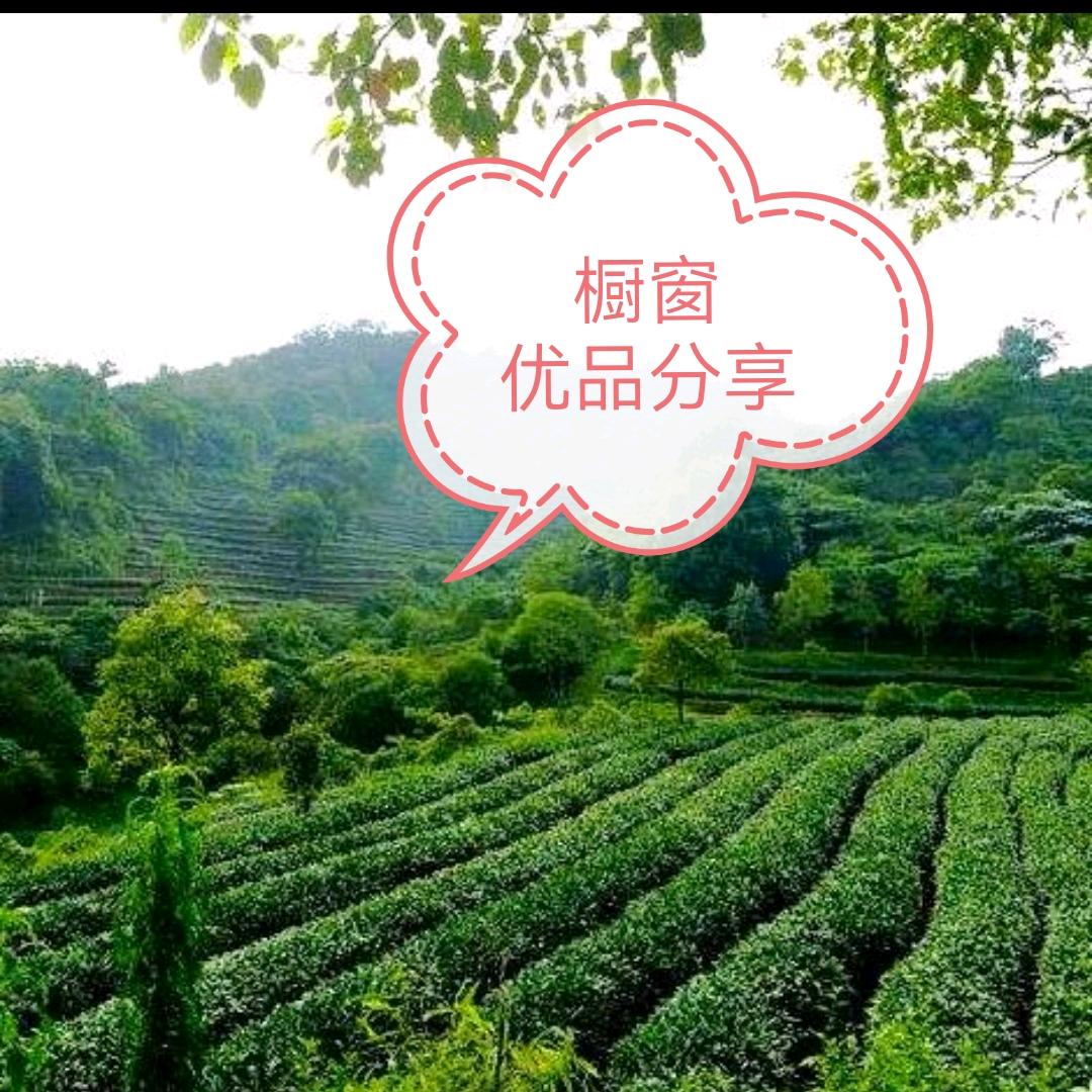 天露山茶园        爱喝茶的关注我