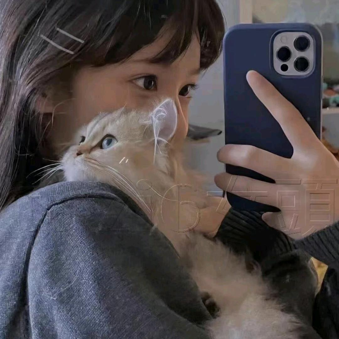 摸鱼小食仓