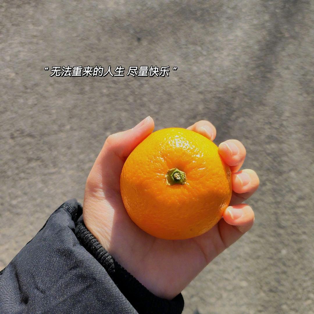 爱追剧