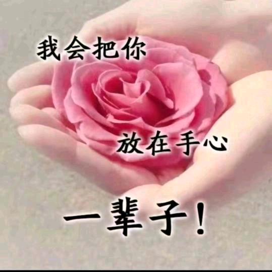 燕子