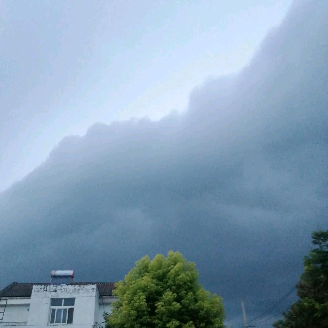 风雨同舟