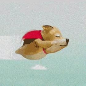 家电搬砖大师🫥