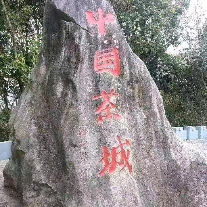 单身狗