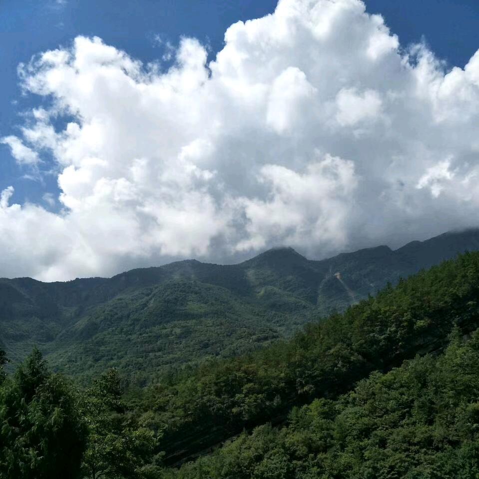 人身如梦
