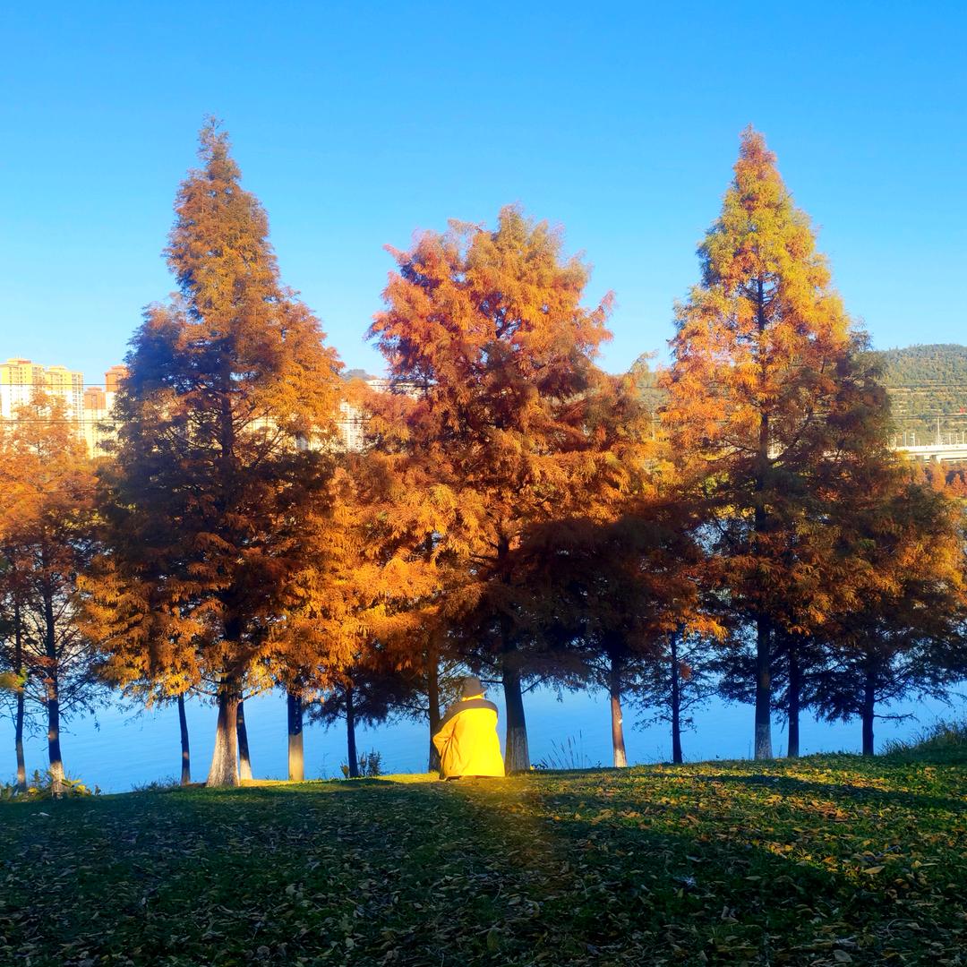 入戏太深失了分寸