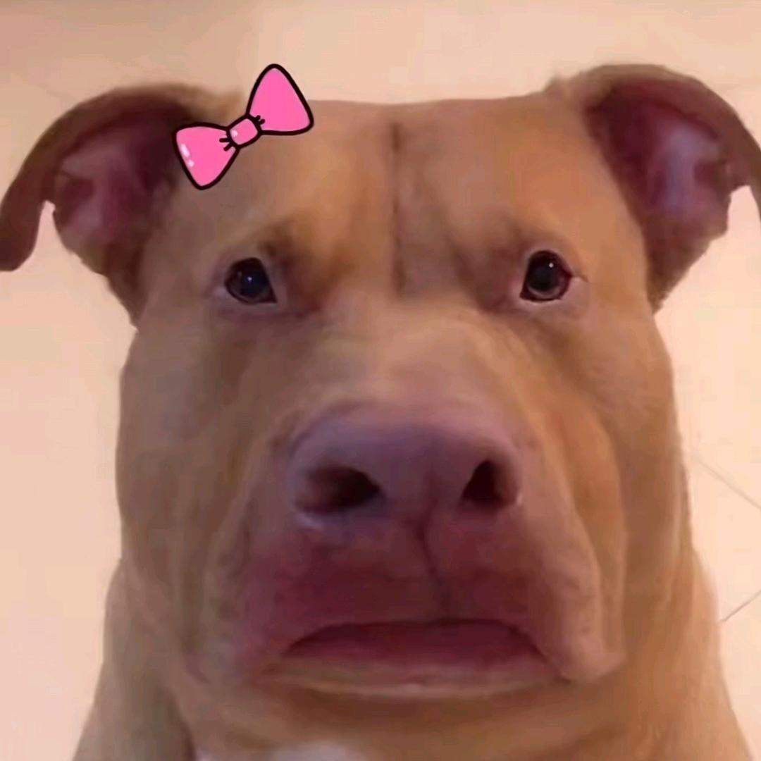 亏哦呜阿奇