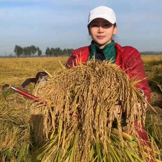 小叶爱种植