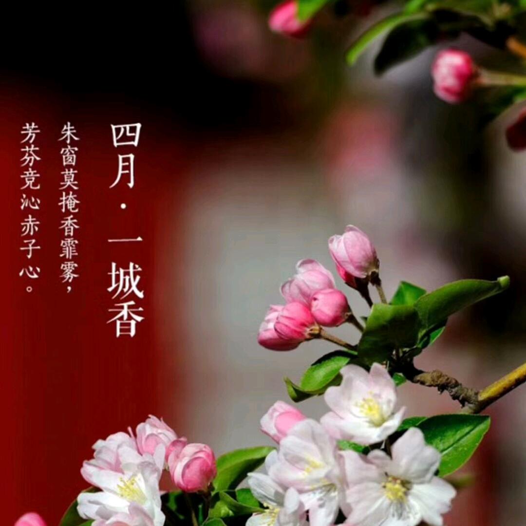 用户4892323160354