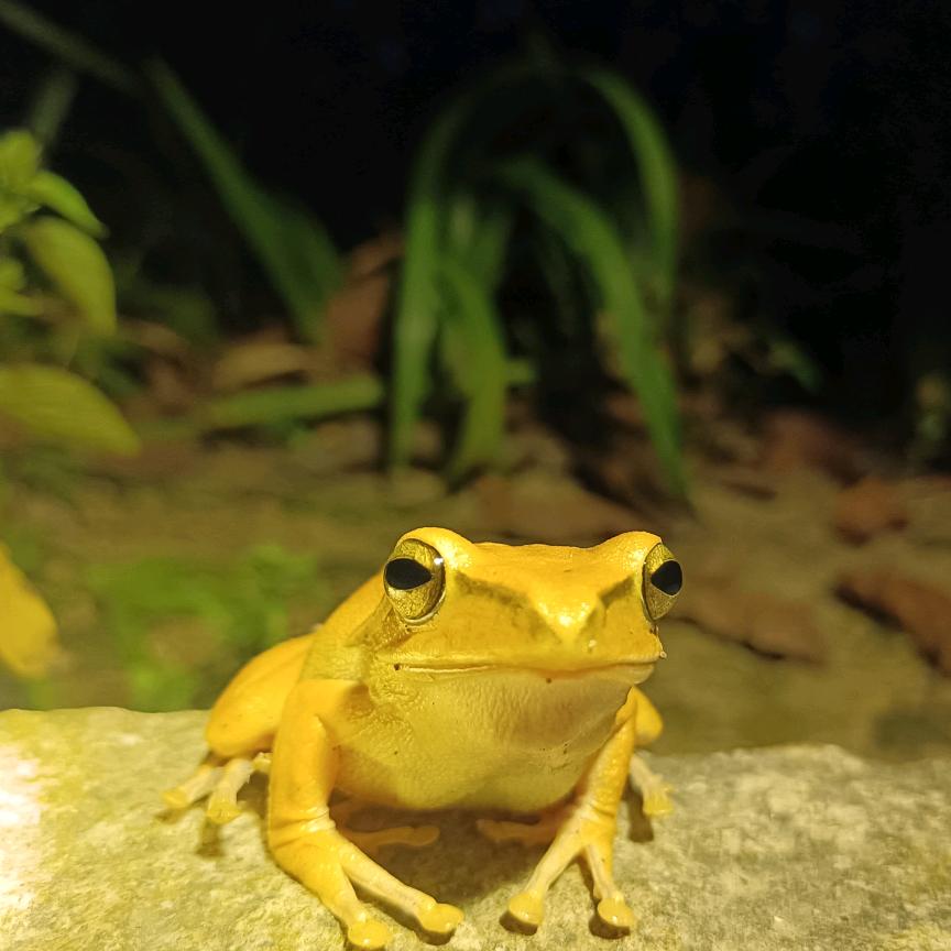 狼人谷（手机拍摄）