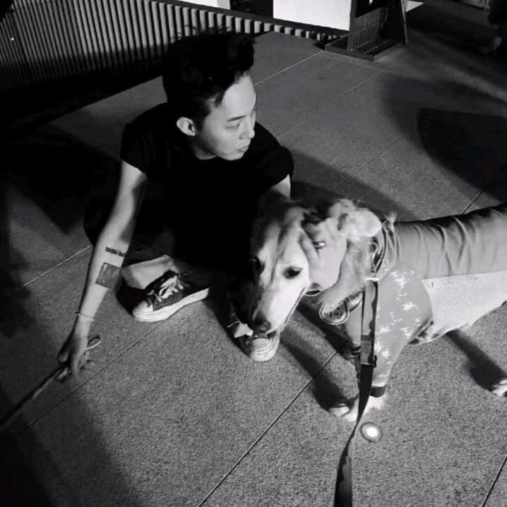 诉一