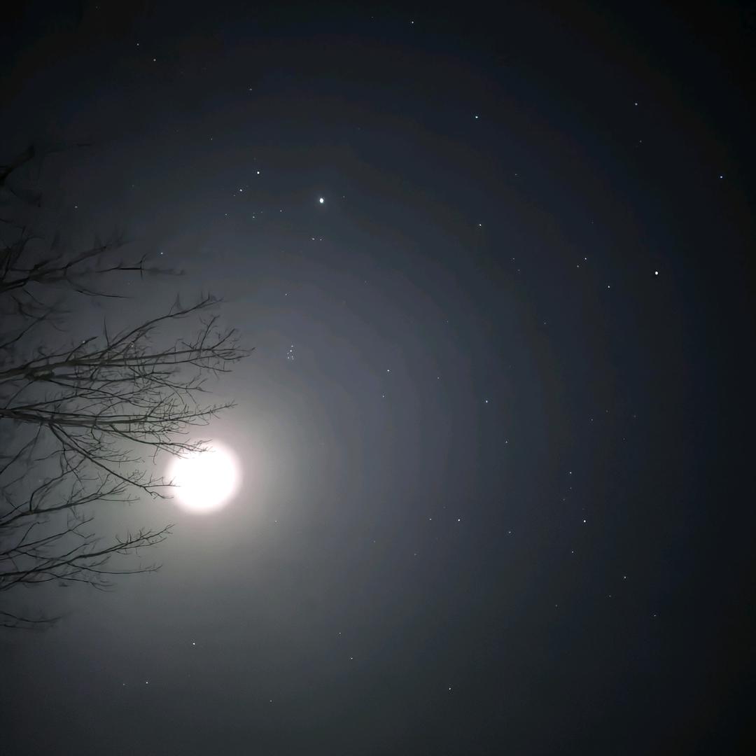 林淋