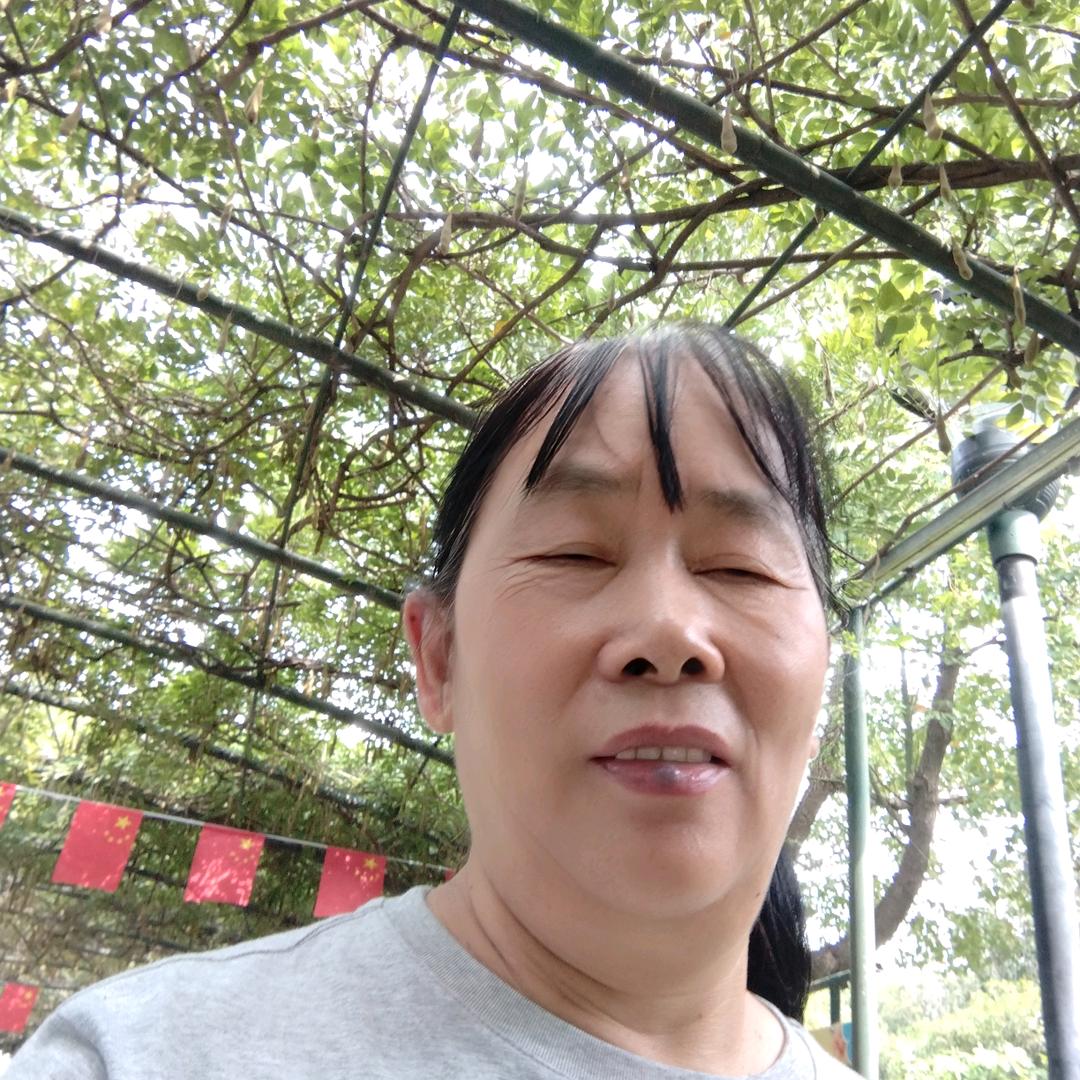 梅花鹿