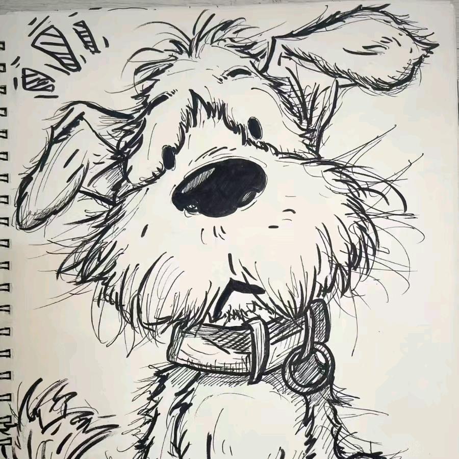 布鲁托🇵🇸🕊