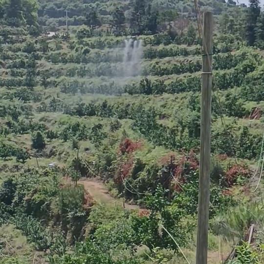 🏕🏕正好🏕🏕