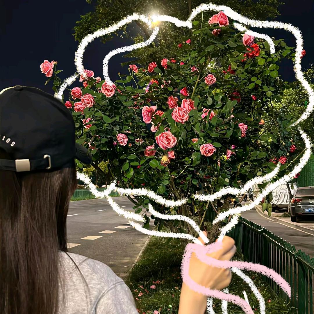 陈❤️《陈蒙厚爱》❤