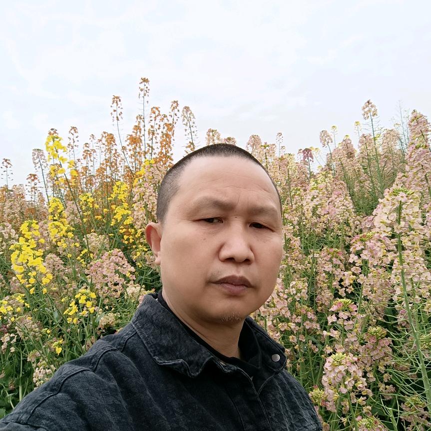 西平自媒体知己红粉佳人