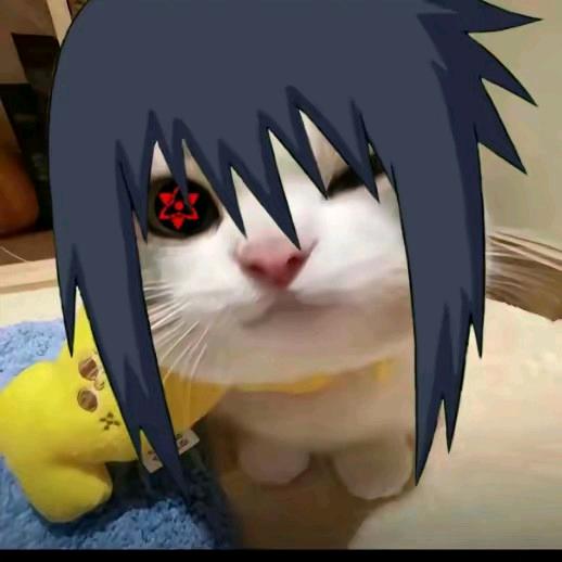 我是无敌骨架大王