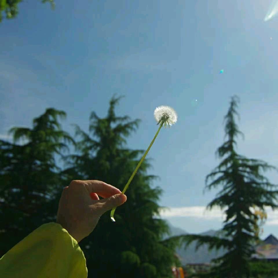 ☁☁️沐雨聽風و✧灬