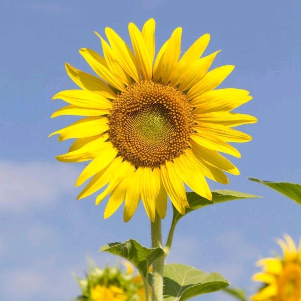 ℋღ᭄小杰🍒᭄💞࿐