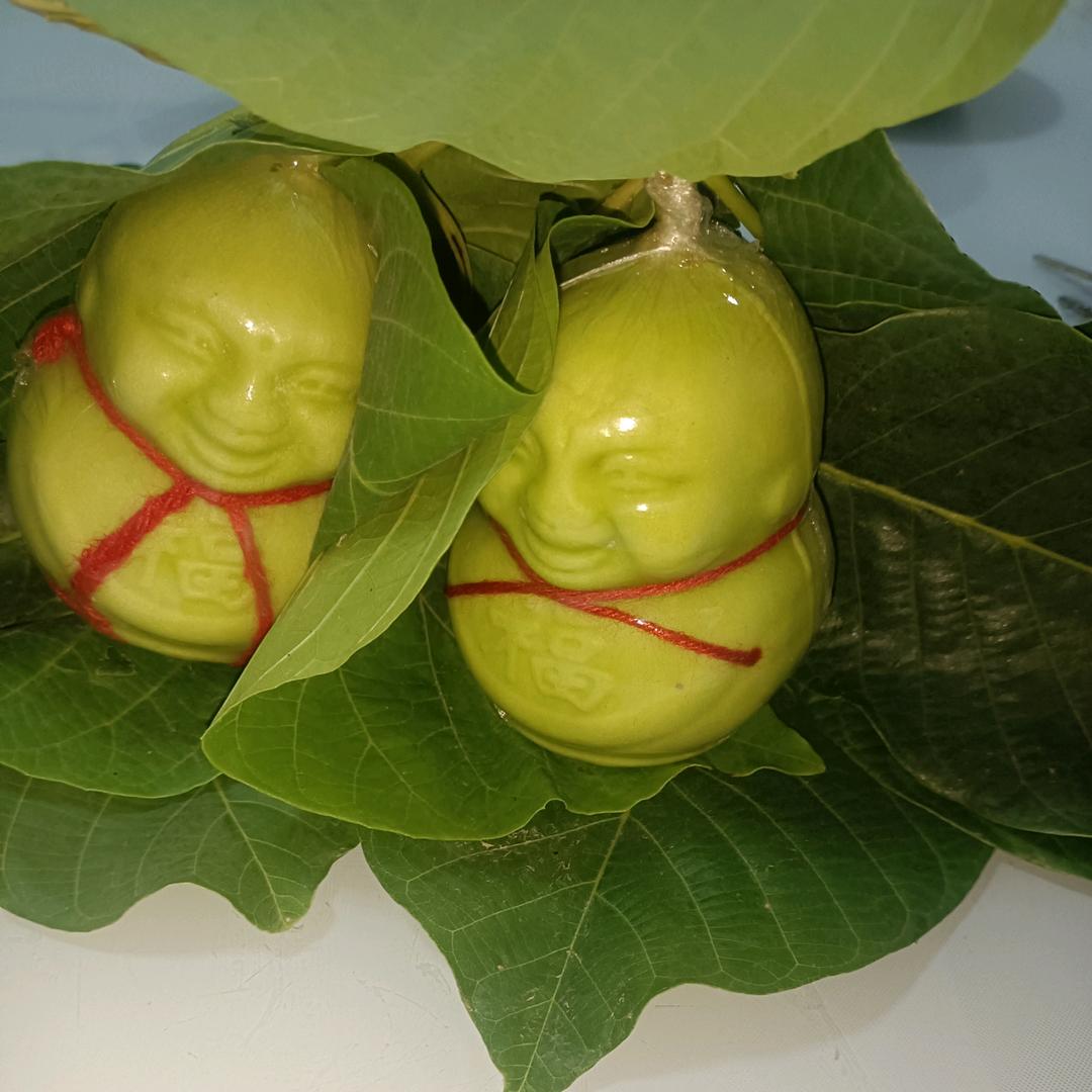 三原县农民育苗合作社