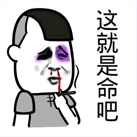 来都来了