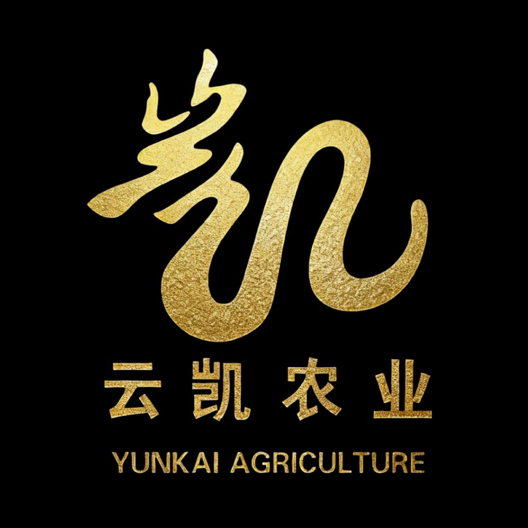 云凯农业·小杏