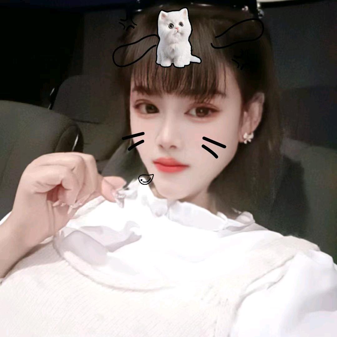 么凹猫🐱