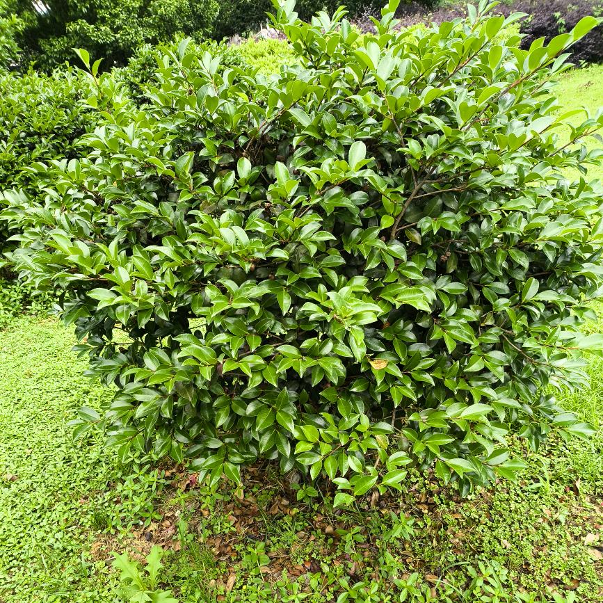 幸福一生。