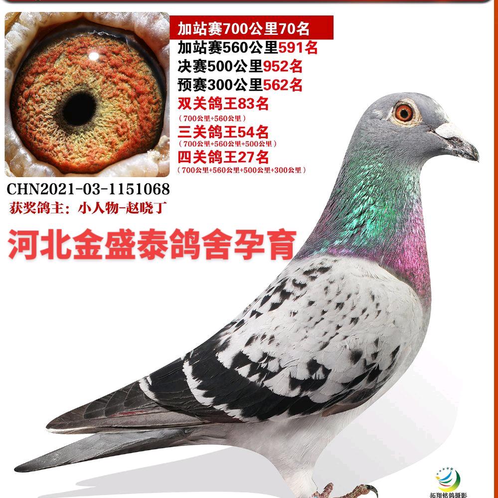 河北金盛泰–小赵