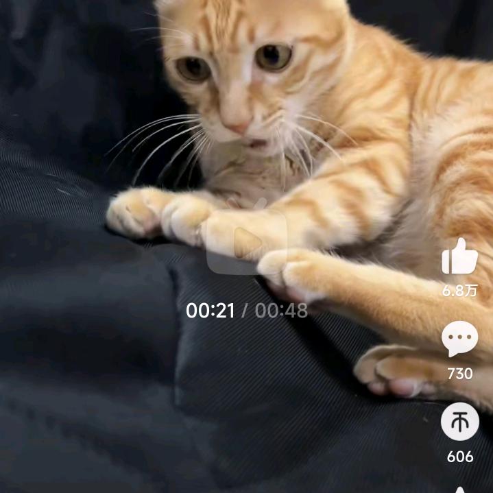 青竹愁酒