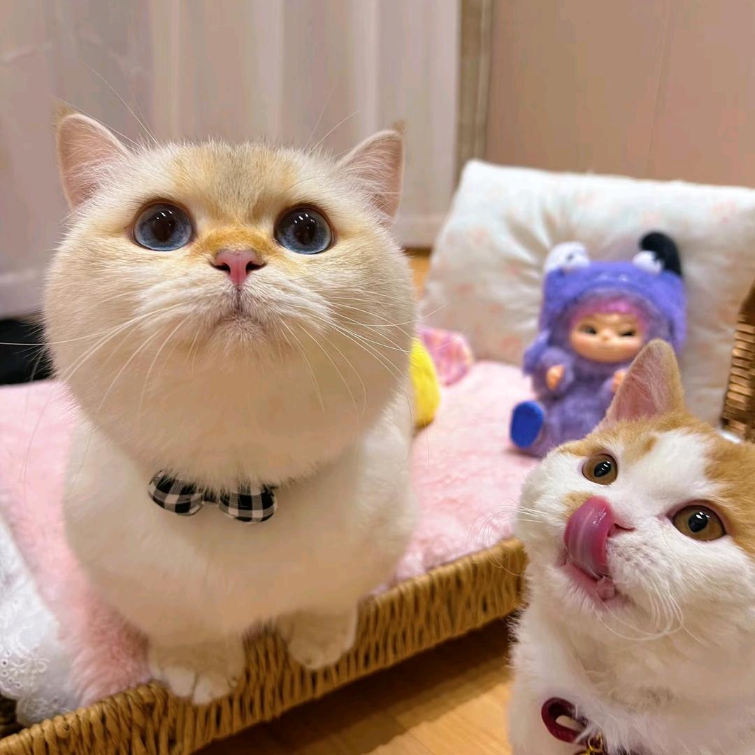 奥莱特卖（厦门仓）1号店