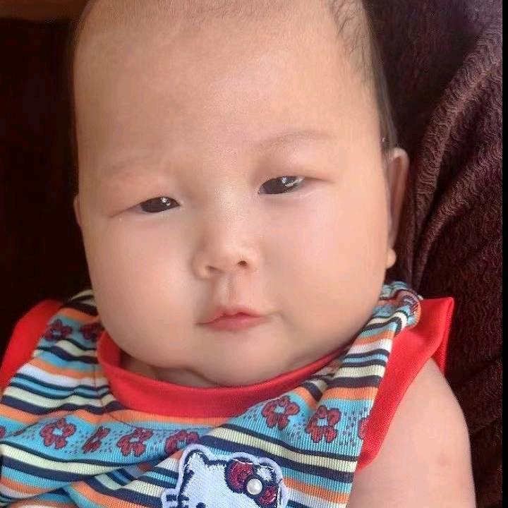 念知爷爷