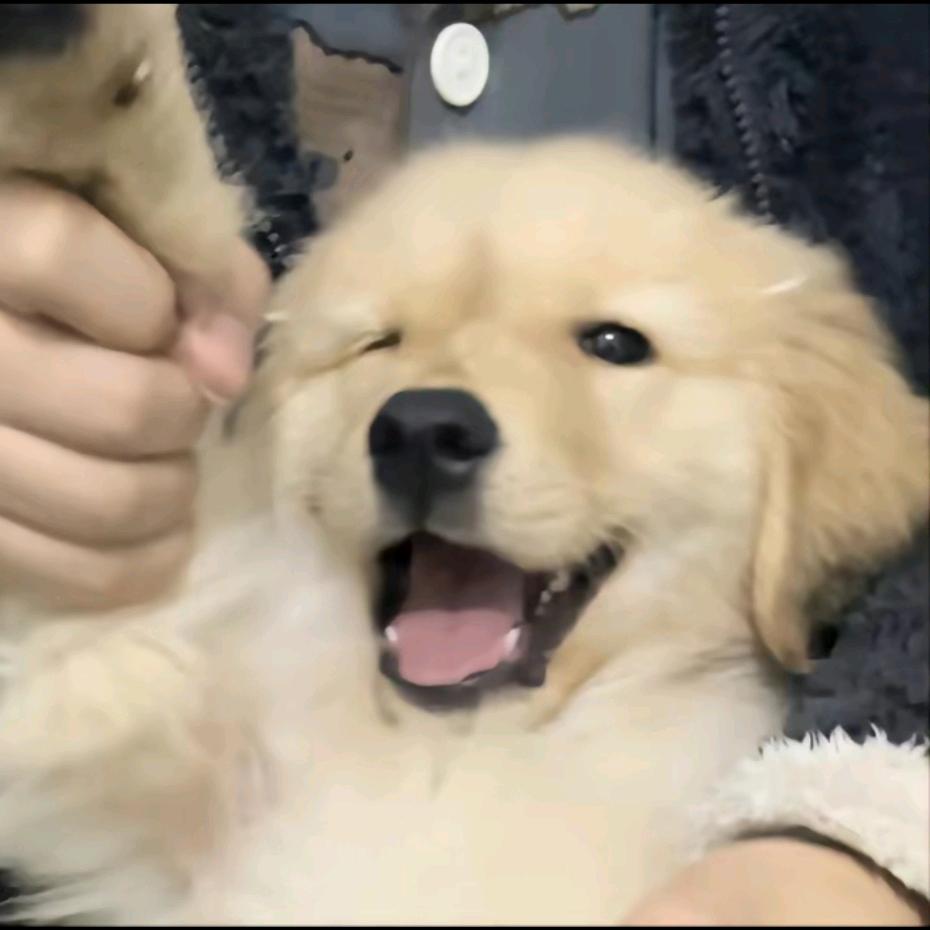 凡事发生皆有利于我