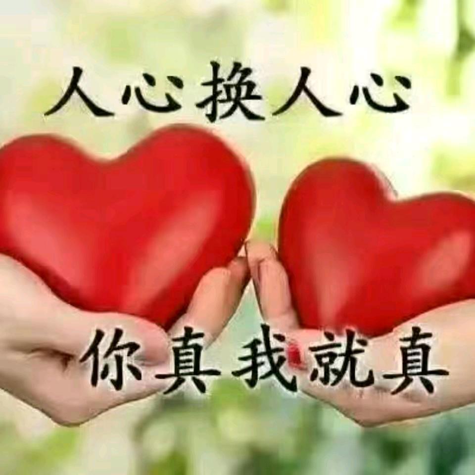 真心换真心