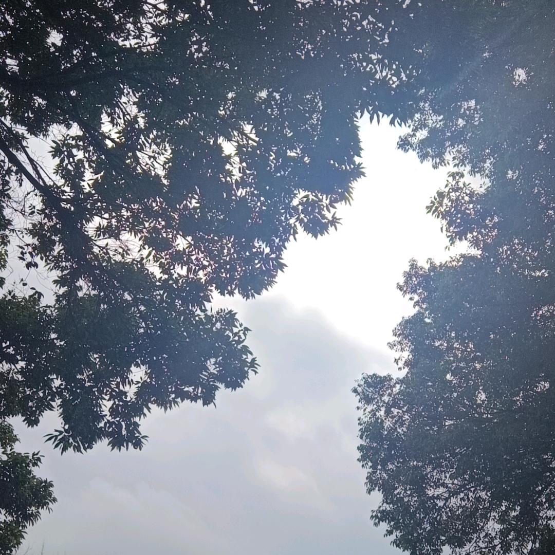 ꧔半醒半醉半浮💕生ᩚꦿ🥀᭄