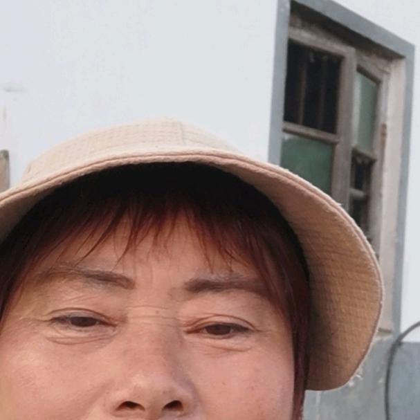 杨飞飞