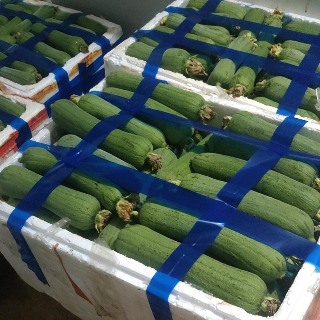 四川盛源鲜生农业有限公司