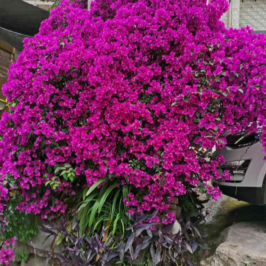 健康是福f