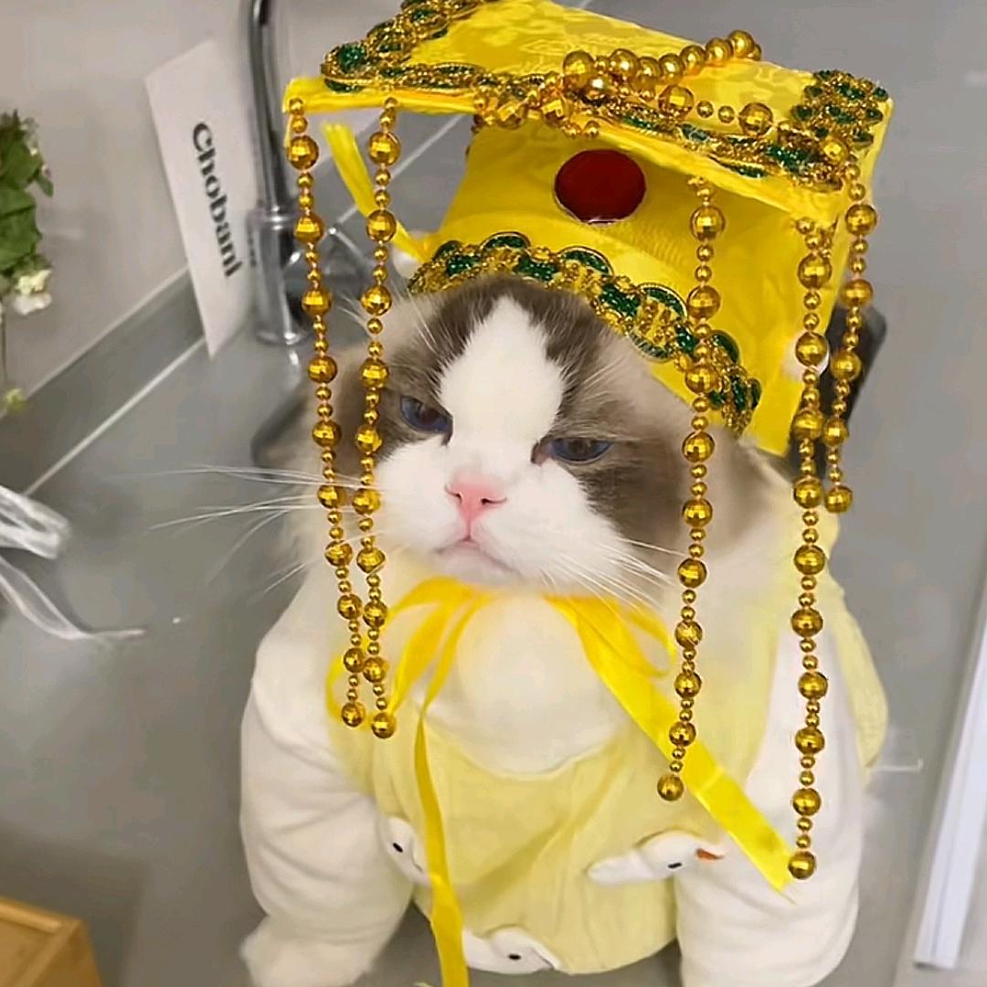 盖世小饼干♡