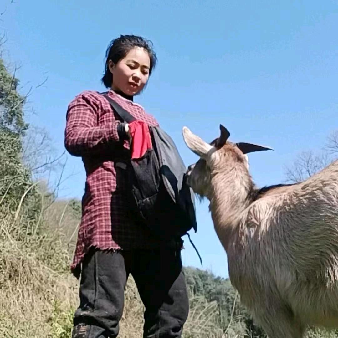 羊姑娘（首播 21:30）