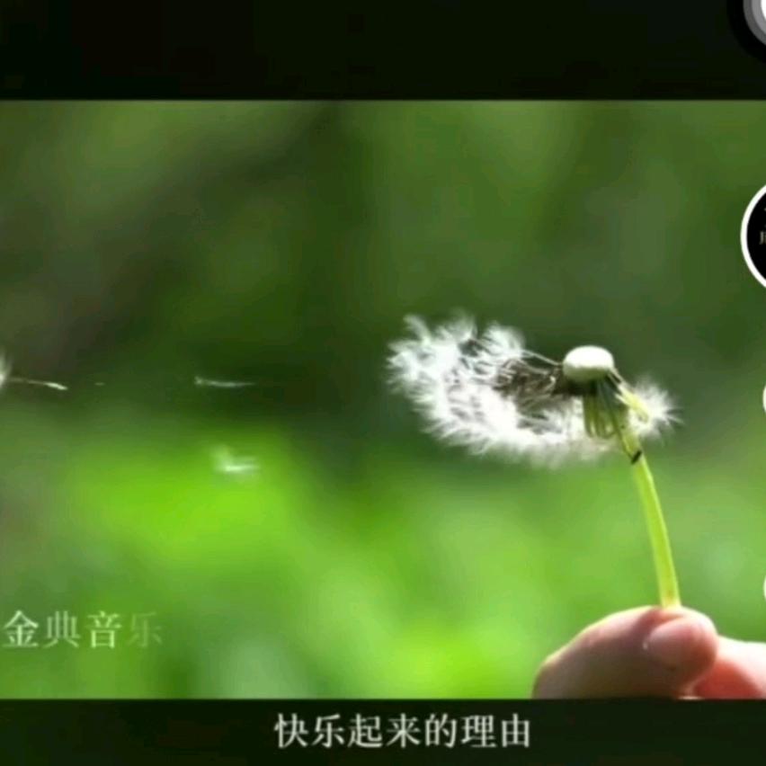看雨的窗