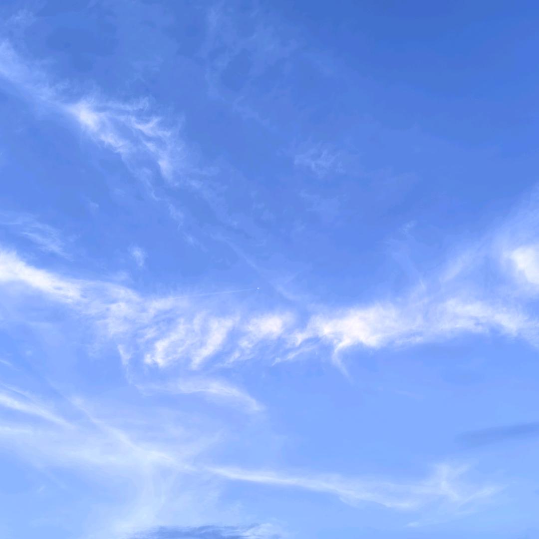 珊珊