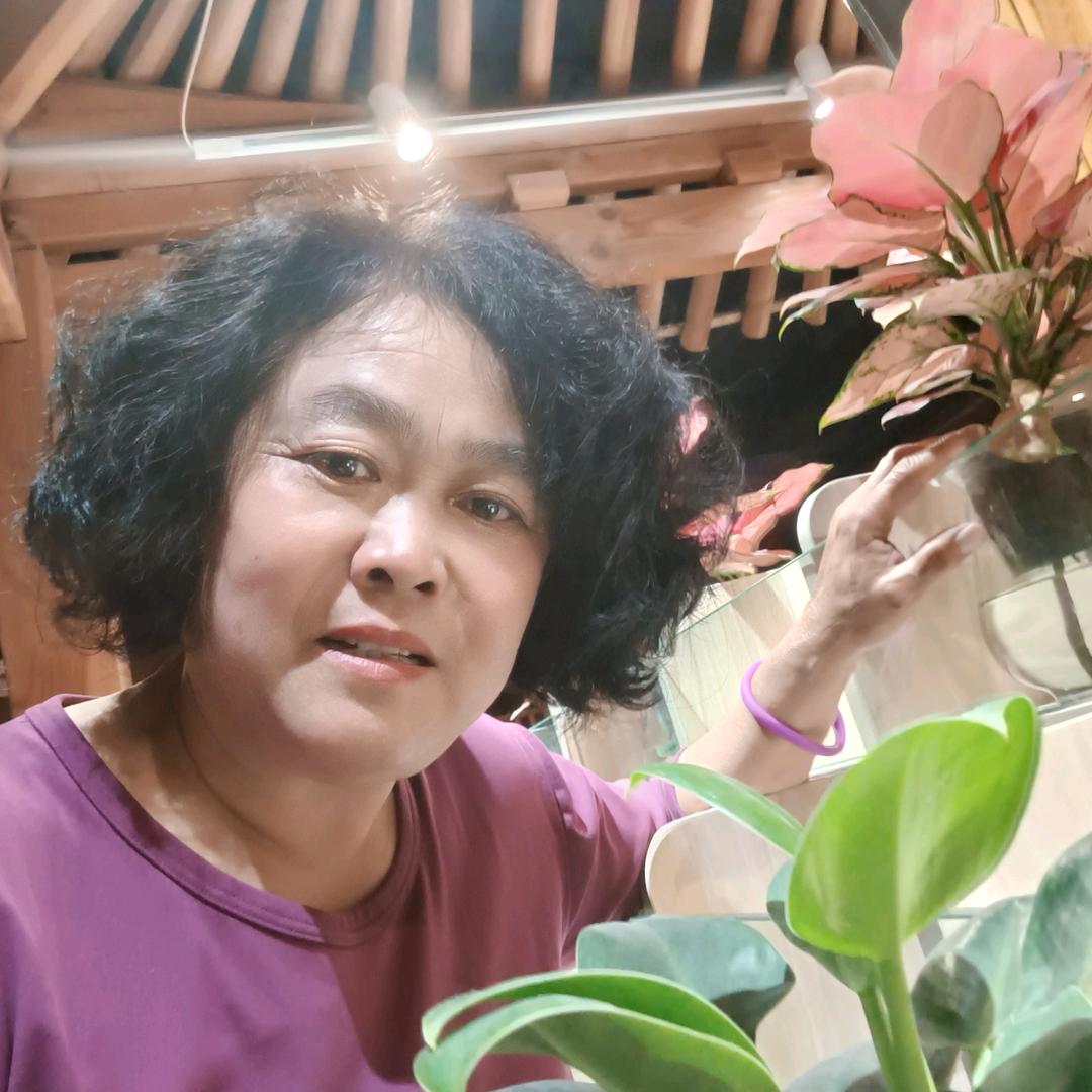 芝麻开花节节高.张姐