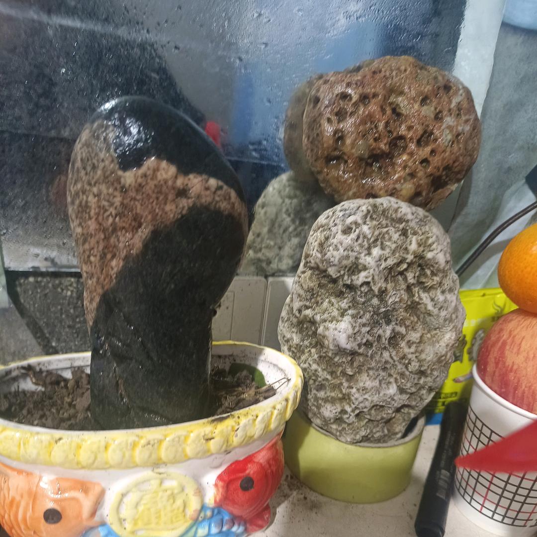 江苏炒货
