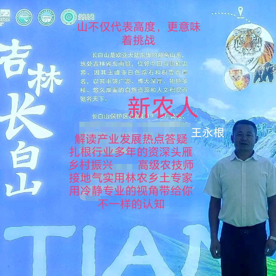 新农人万亩山野菜基地