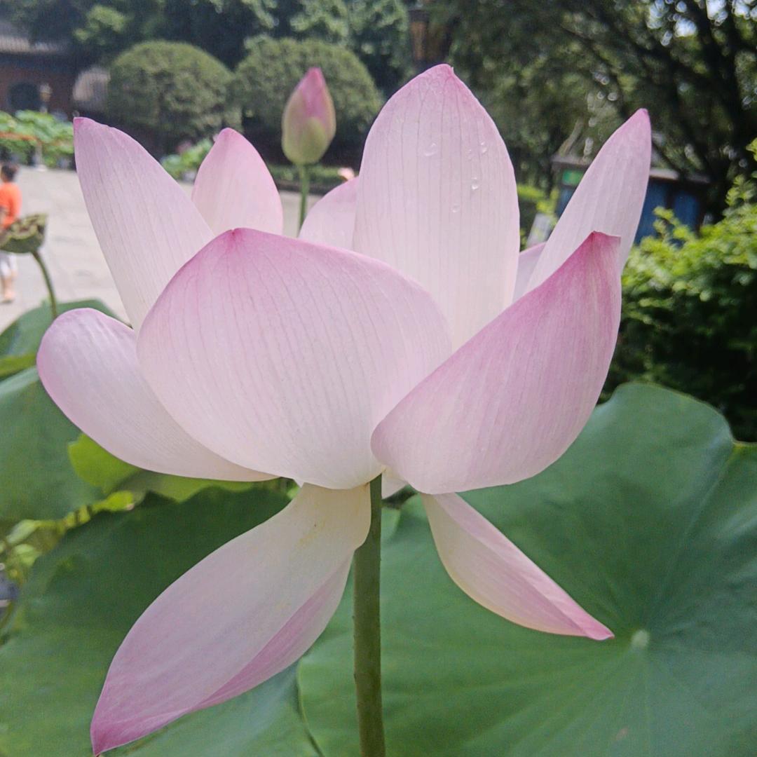 再生资源回收